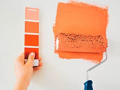 Лучшая краска для стен: советы по выбору